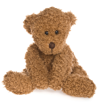 Teddy bear