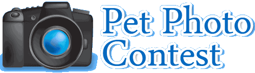 http://media.sheknows.com/cesar/contests/title_pet-photo-contest.gif